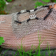 Illustration for article titled Can Chainmail Sneakers Possibly Be Comfy?